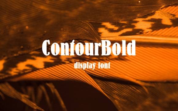 Contour Bold: A Display Font That Makes Your Brand Instantly Memorable